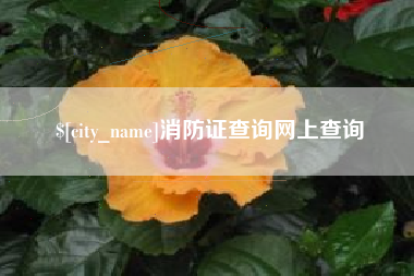怀化消防证查询网上查询