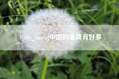 怀化中国的金牌有好多