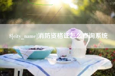 怀化消防资格证怎么查询系统