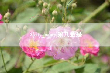 怀化第九金是
