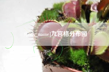 怀化九宫格分布图