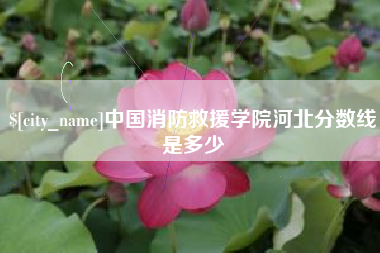 怀化中国消防救援学院河北分数线是多少