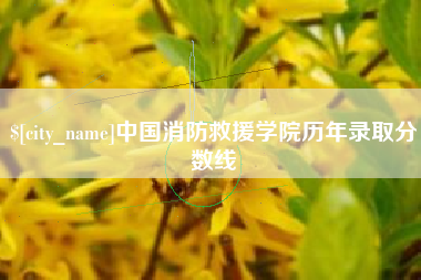 怀化中国消防救援学院历年录取分数线
