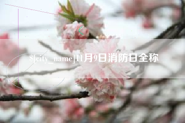 怀化11月9日消防日全称