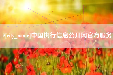 怀化中国执行信息公开网官方服务