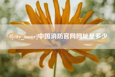 怀化中国消防官网网址是多少