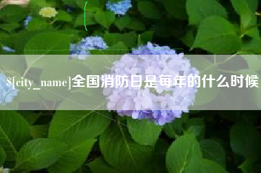怀化全国消防日是每年的什么时候