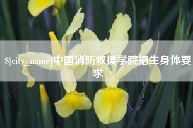 怀化中国消防救援学院招生身体要求
