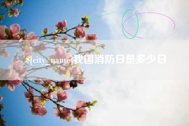 怀化我国消防日是多少日