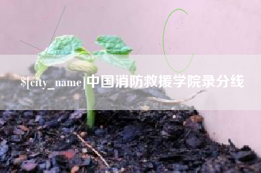 怀化中国消防救援学院录分线