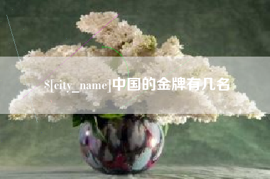 怀化中国的金牌有几名