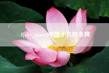 怀化中国十九枚金牌
