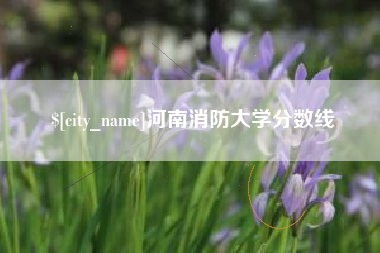 怀化河南消防大学分数线