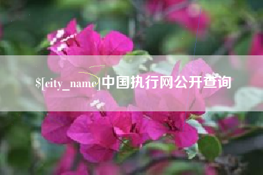 怀化中国执行网公开查询