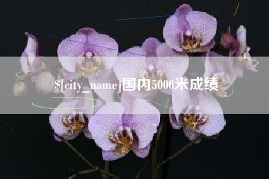 怀化国内5000米成绩