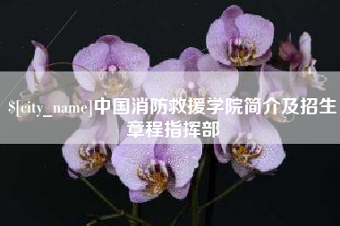 怀化中国消防救援学院简介及招生章程指挥部
