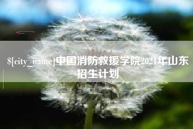 怀化中国消防救援学院2021年山东招生计划