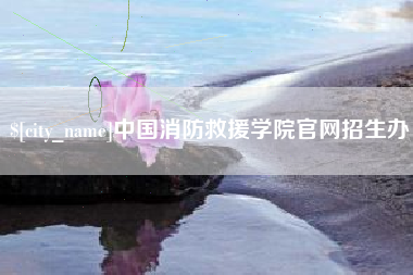怀化中国消防救援学院官网招生办
