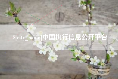 怀化中国执行信息公开平台
