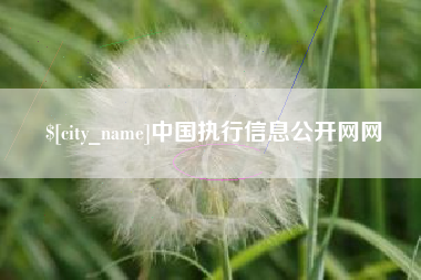 怀化中国执行信息公开网网