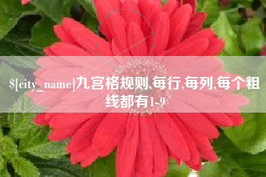 怀化九宫格规则,每行,每列,每个粗线都有1-9