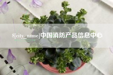 怀化中国消防产品信息中心