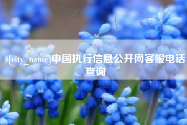 怀化中国执行信息公开网客服电话查询