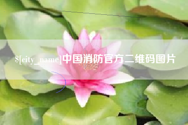怀化中国消防官方二维码图片