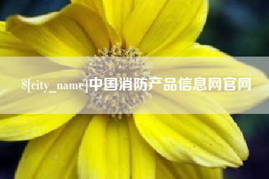 怀化中国消防产品信息网官网