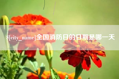 怀化全国消防日的日期是哪一天