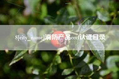 怀化消防产品cccf认证目录