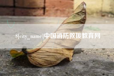 怀化中国消防救援教育网