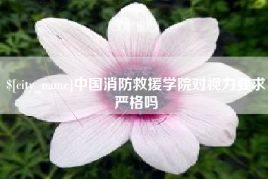 怀化中国消防救援学院对视力要求严格吗