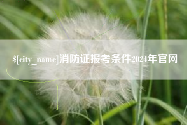 怀化消防证报考条件2024年官网