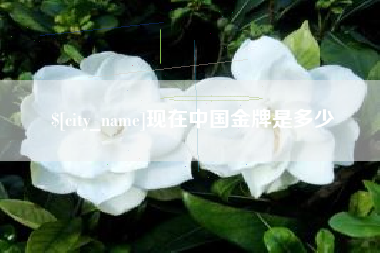 怀化现在中国金牌是多少
