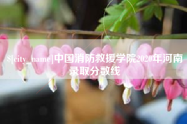 怀化中国消防救援学院2020年河南录取分数线
