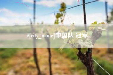 怀化中国队 冠军