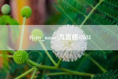 怀化九宫格42633