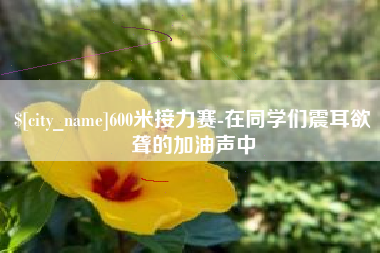 怀化600米接力赛-在同学们震耳欲聋的加油声中