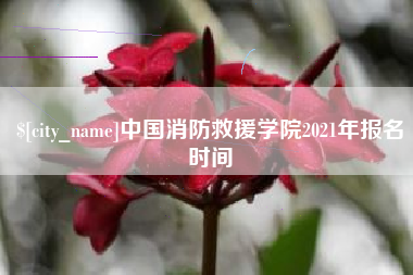 怀化中国消防救援学院2021年报名时间