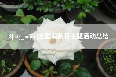 怀化全国消防日主题活动总结