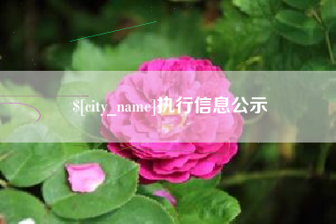 怀化执行信息公示