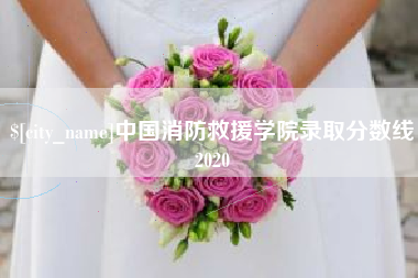 怀化中国消防救援学院录取分数线2020