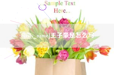 怀化王子豪是怎么写