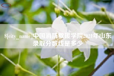 怀化中国消防救援学院2021年山东录取分数线是多少