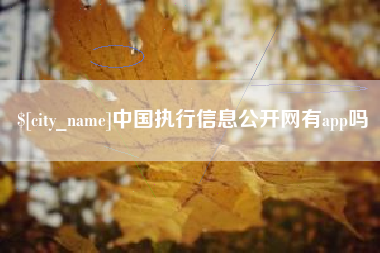 怀化中国执行信息公开网有app吗