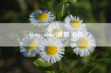怀化成都 消防