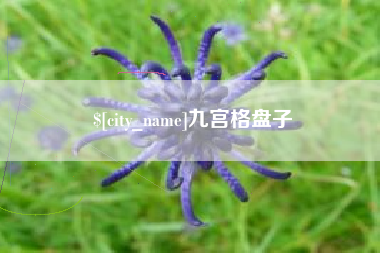 怀化九宫格盘子