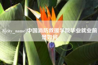 怀化中国消防救援学院毕业就业前景如何