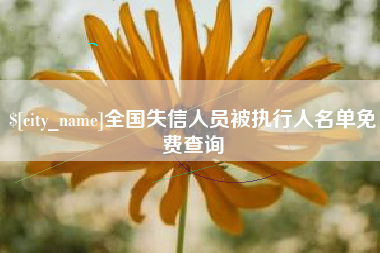 怀化全国失信人员被执行人名单免费查询